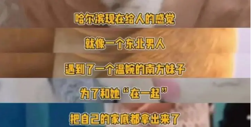 “南方小土豆”只是一种爱称，上纲上线大可不必