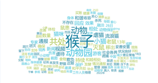 昆明动物园“猫猴共处”：勿让动物成为管理问题的牺牲品