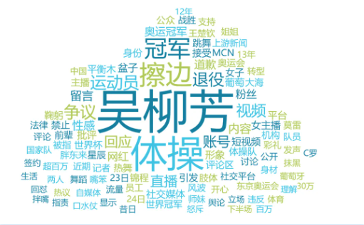 事件舆评丨退役运动员选择擦边，是无奈还是求富