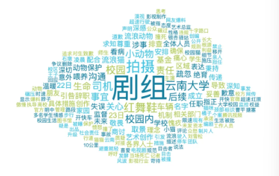 事件舆评 | “红舞鞋剧组开快车撞死猫”：生命漠视背后的行业信任危机与伦理警示